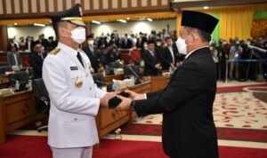 WhatsApp Image 2022-07-06 at 15.55.37