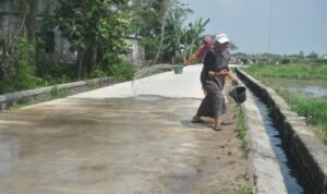 WhatsApp Image 2024-06-05 at 10.42.37