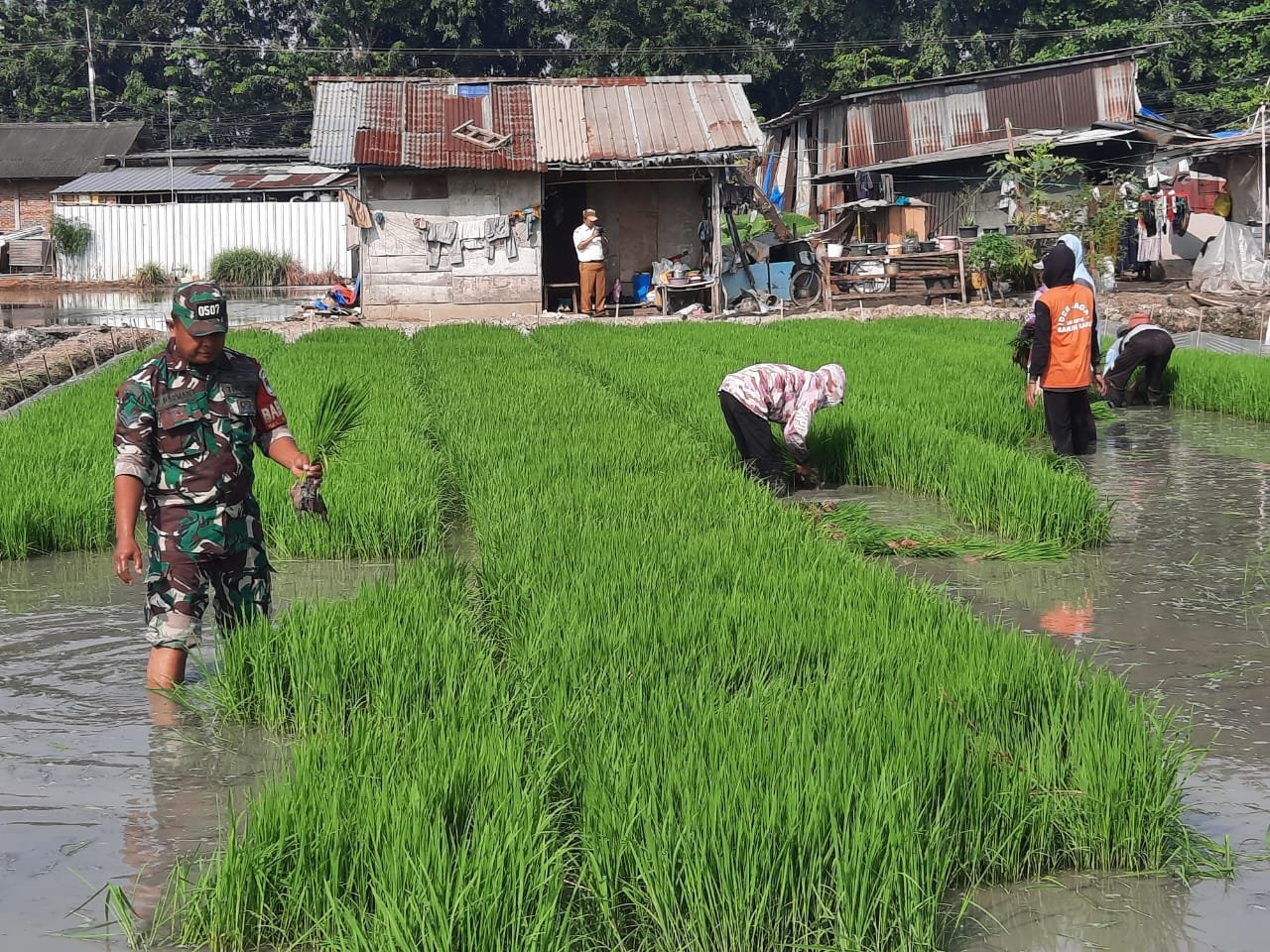 WhatsApp Image 2024-06-19 at 16.10.34