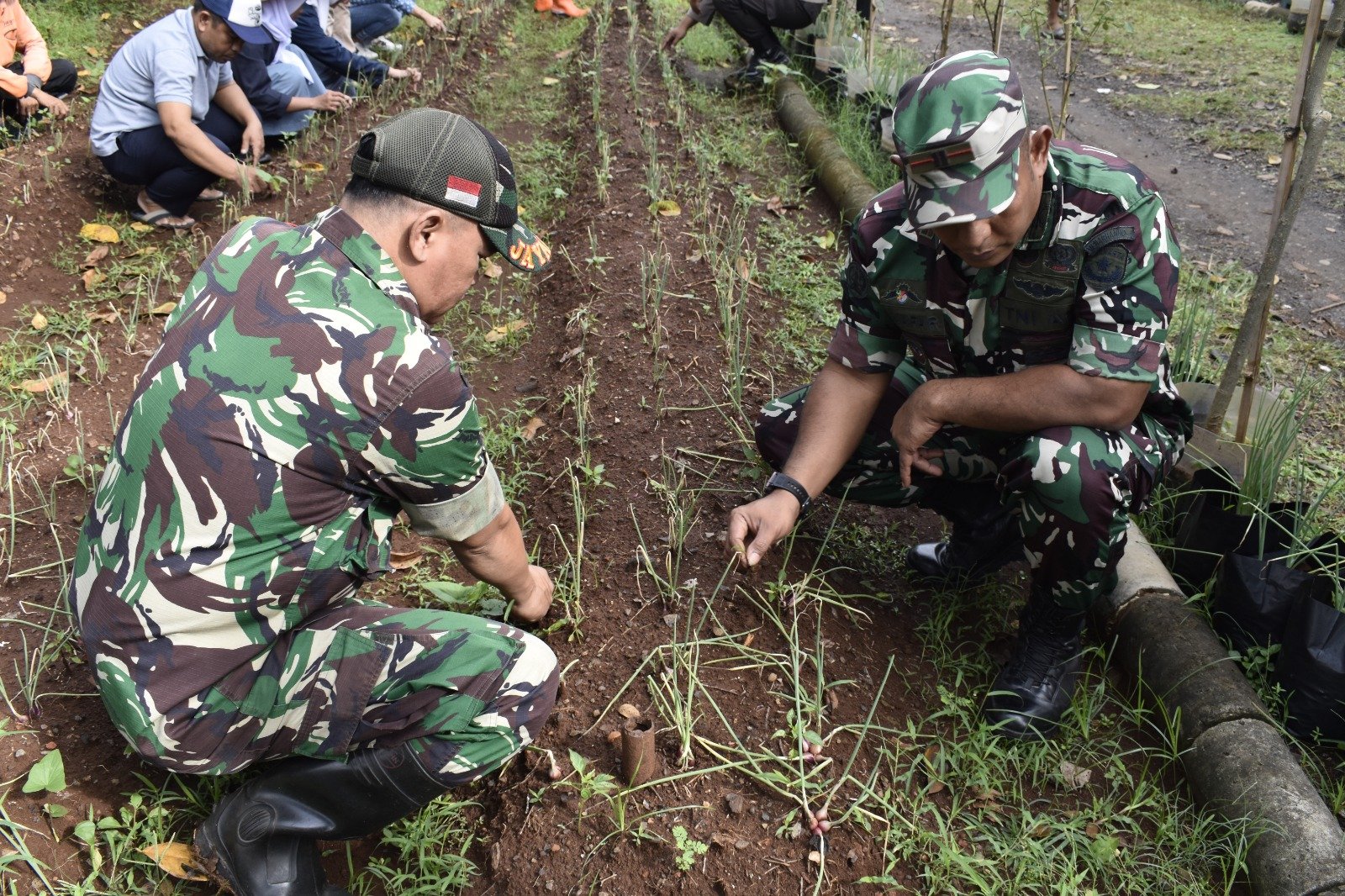 WhatsApp Image 2024-07-07 at 22.02.58 (1)