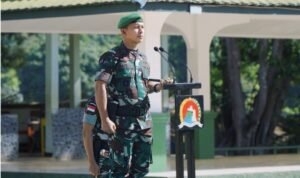 WhatsApp Image 2024-07-08 at 18.29.07