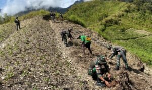 WhatsApp Image 2024-07-10 at 14.11.06