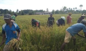 WhatsApp Image 2024-07-12 at 13.01.54