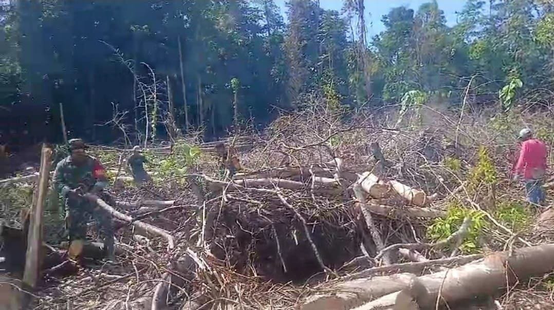 WhatsApp Image 2024-08-01 at 18.28.18