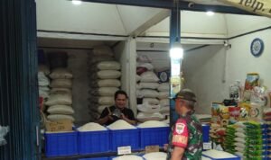 WhatsApp Image 2024-08-03 at 07.15.55 (1)