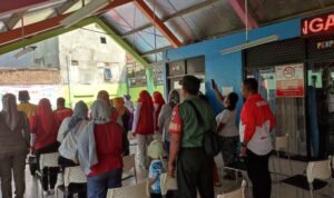 WhatsApp Image 2024-08-15 at 16.53.27