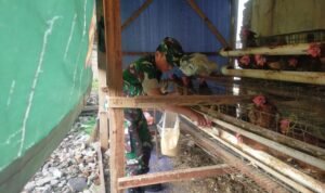 IMG-20250615-WA0014