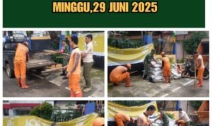 IMG-20250630-WA0017