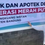 apotek desa 2