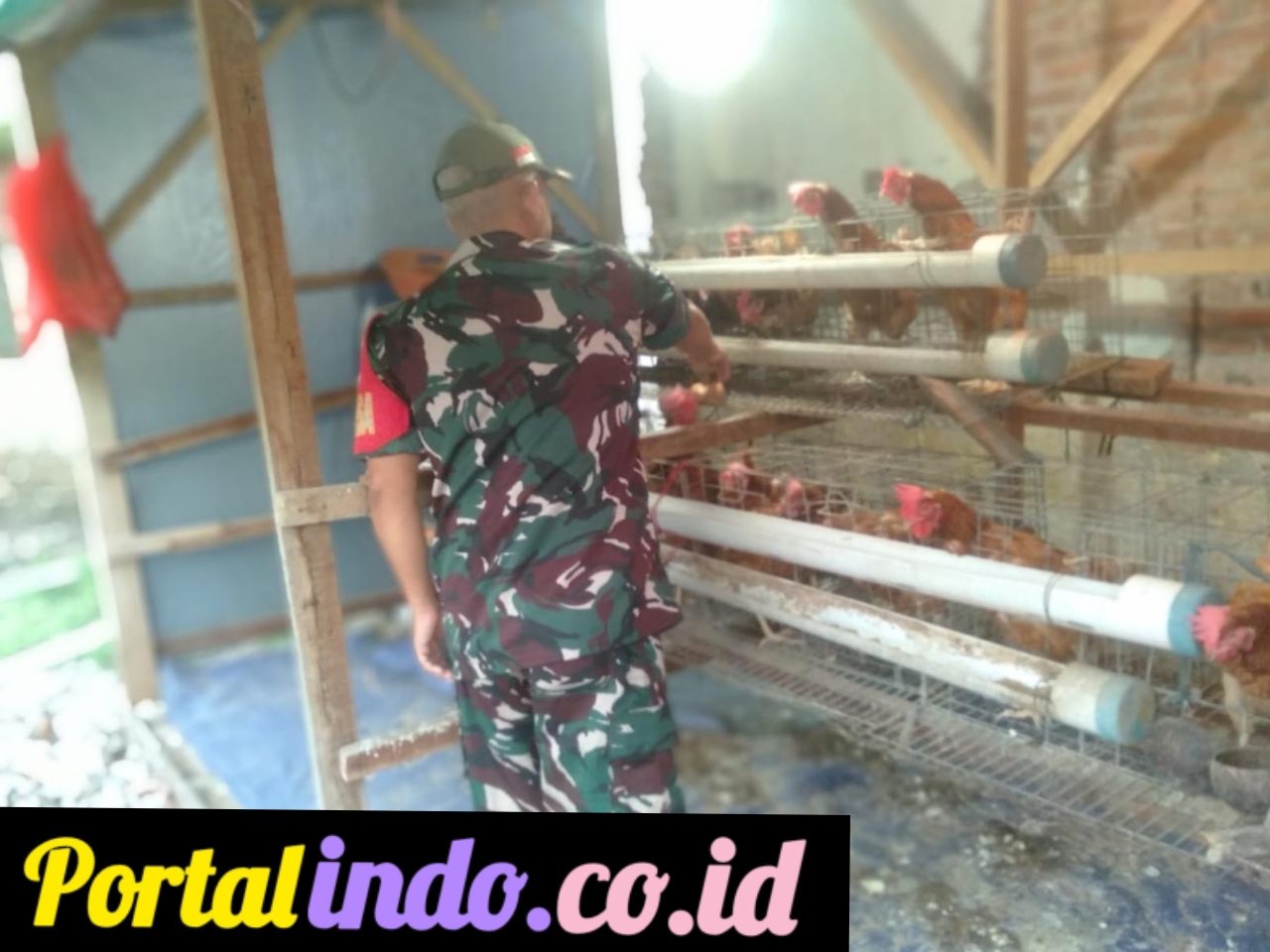 GridArt_20250713_083806467