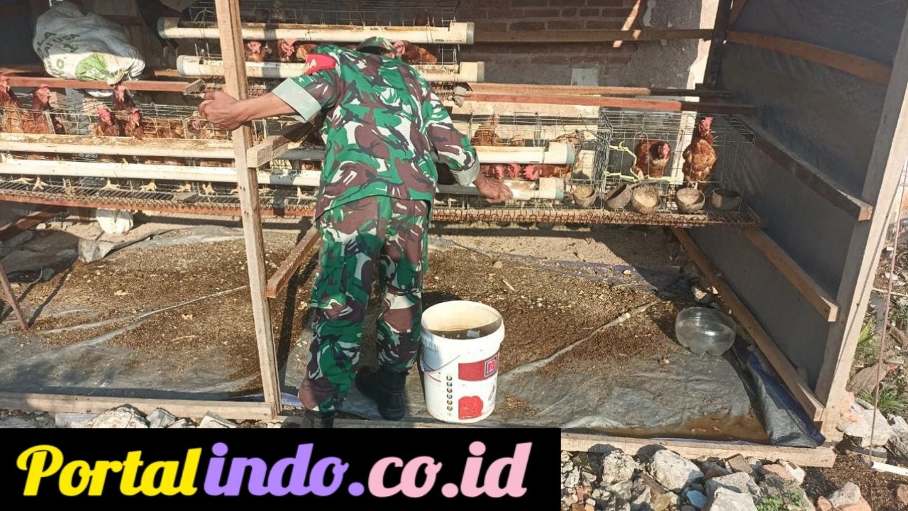 GridArt_20250717_075459671