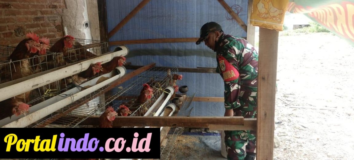 GridArt_20250718_072552446