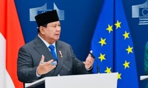 cepa 2