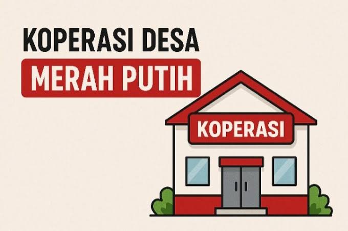 kopdes mp