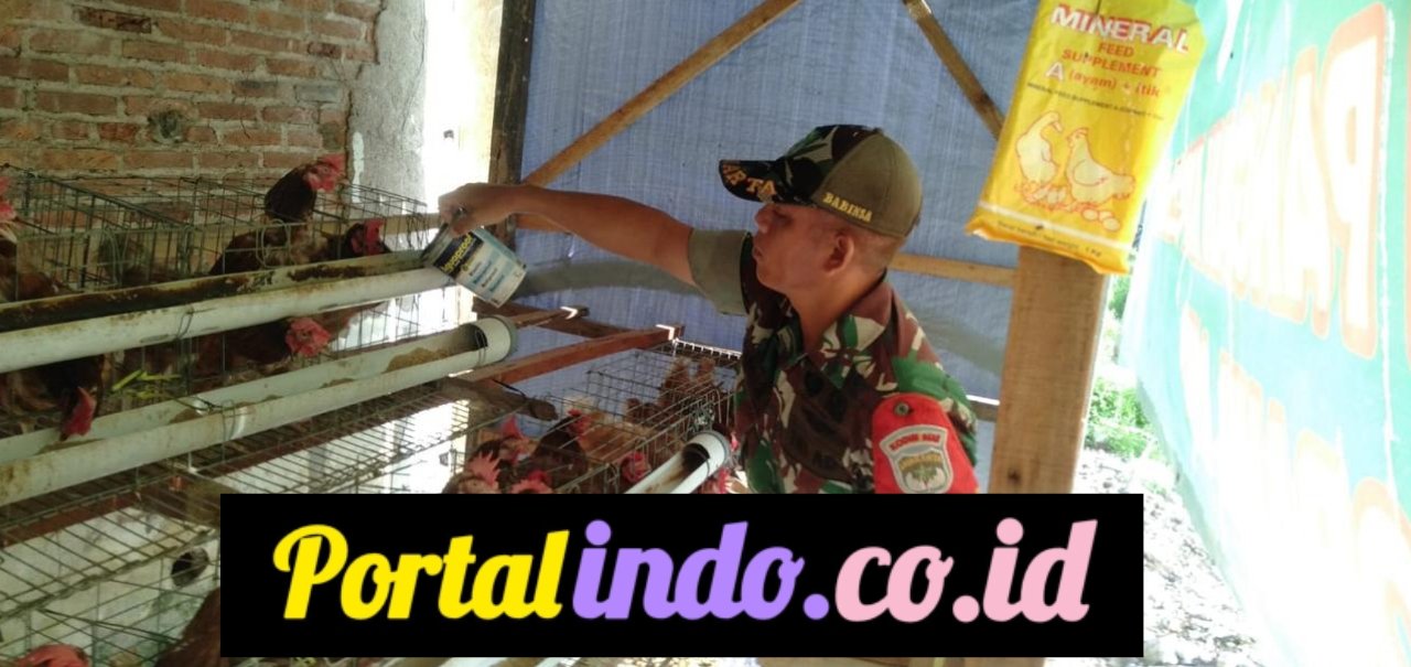 GridArt_20250805_084936282