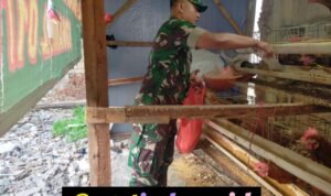 GridArt_20250807_071308009