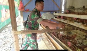 GridArt_20250812_083632228