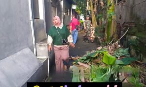 GridArt_20250820_065948221