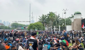 demo 28 2