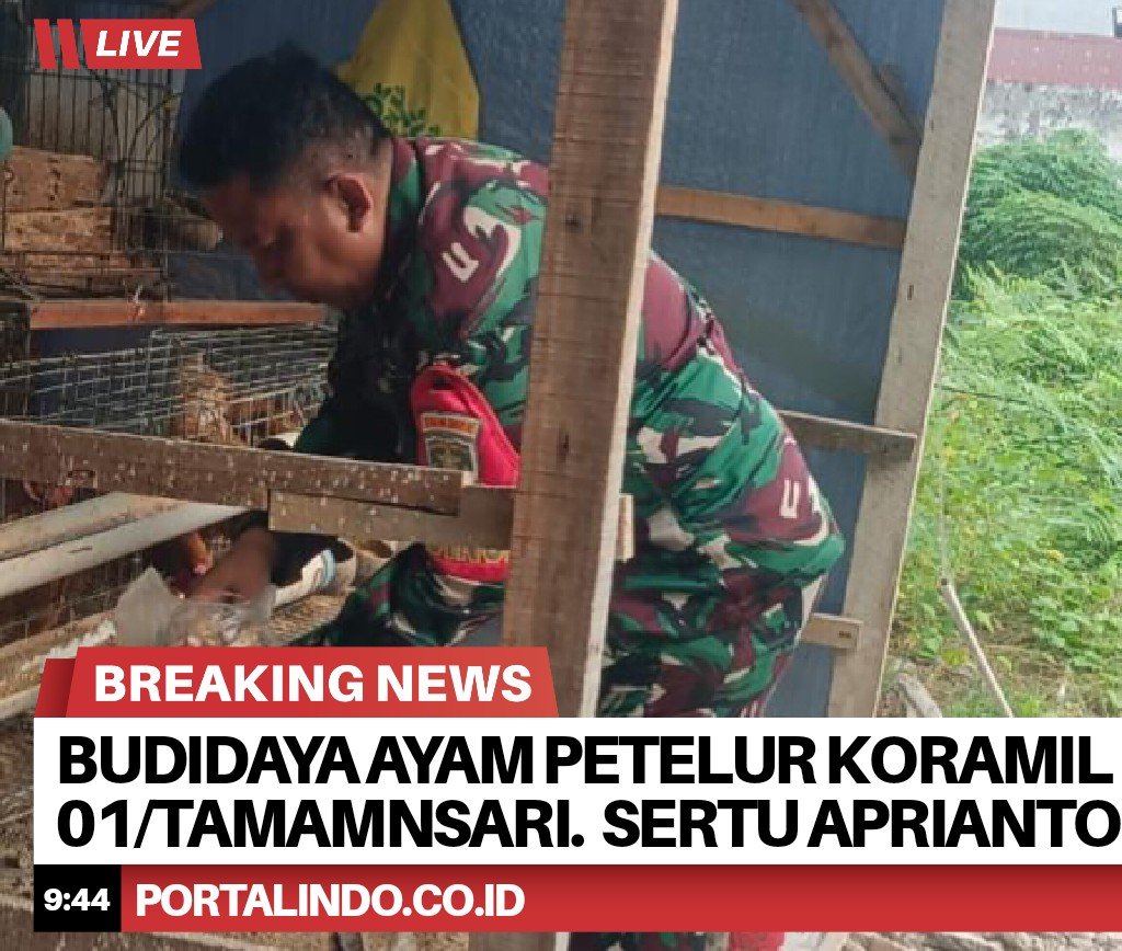 BrNews 29092025214448