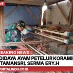 BrNews 30092025203355