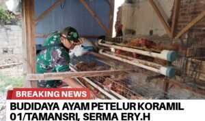 BrNews 30092025203355