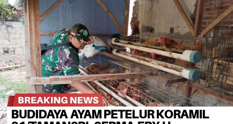 BrNews 30092025203355