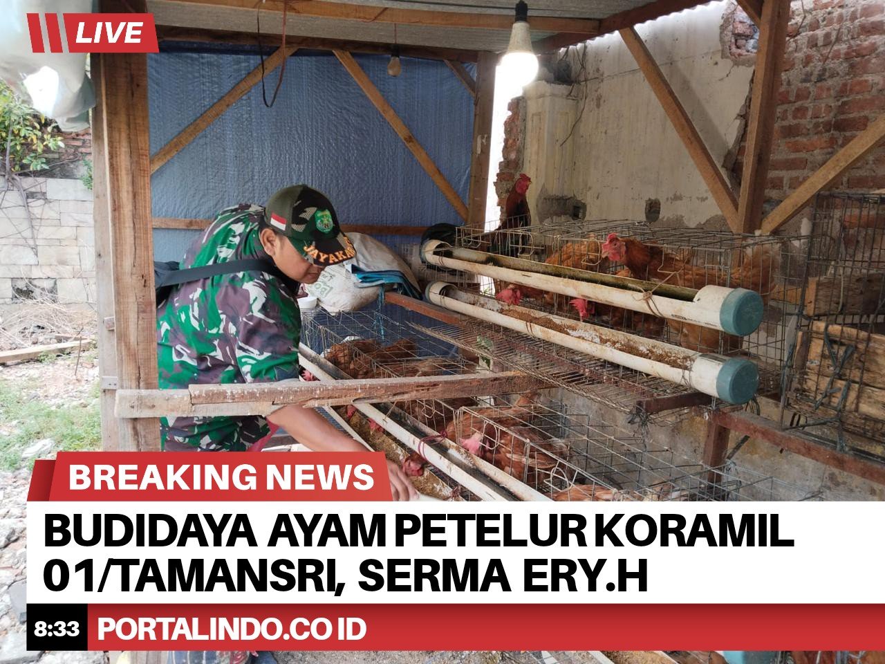 BrNews 30092025203355