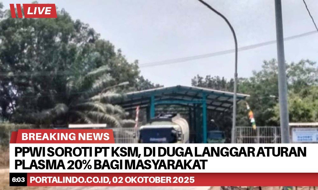 BrNews 02102025060349