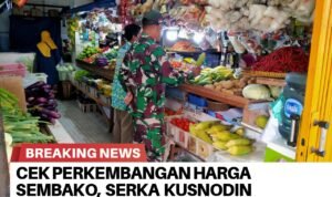 BrNews 02102025120206