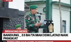 BrNews 02102025165121
