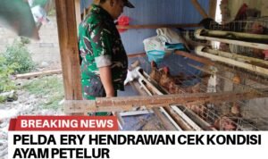 BrNews 03102025192545