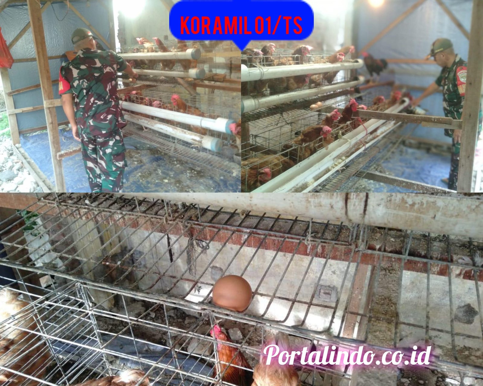 IMG-20251024-WA0054