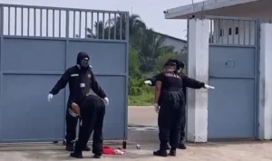 cikande 2