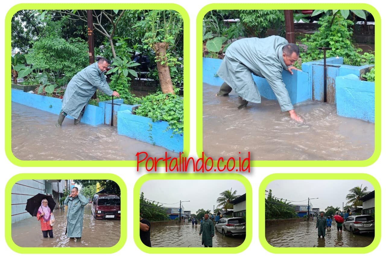 WhatsApp Image 2026-01-17 at 22.49.38