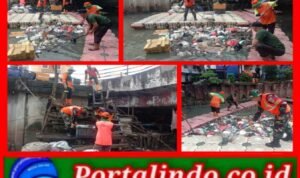 GridArt_20260216_151219805_1771229574021