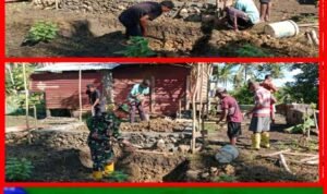 GridArt_20260225_111323690_1771993055722