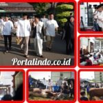 IMG-20260527-WA0186