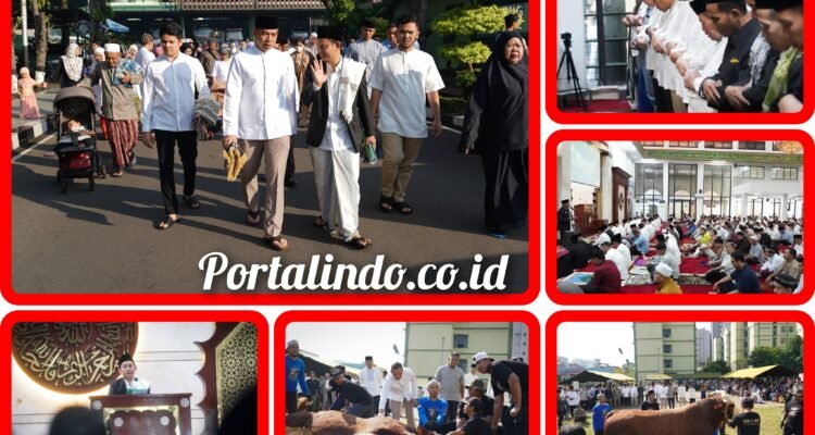 IMG-20260527-WA0186