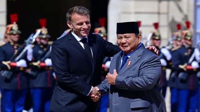 diplomasi