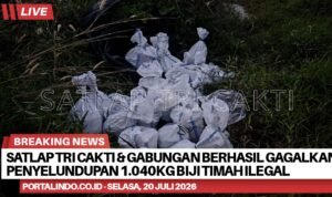 BrNews 22072026032247