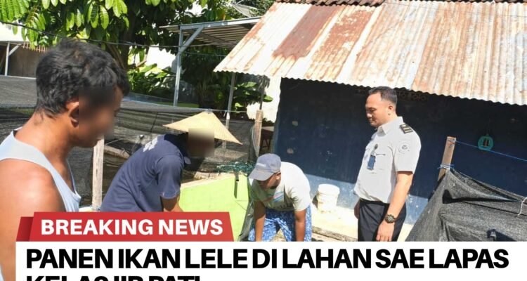 BrNews 22072026184110