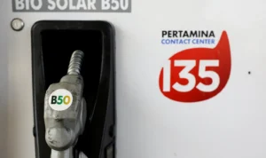 B50 3