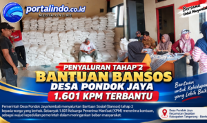 file_00000000cda081fd8327033fadc96523