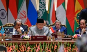 new delhi BRICS 1